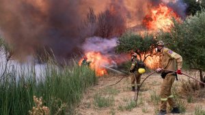 Αντωνακόπουλος για την μη καταβολή αποζημιώσεων σε ελαιοπαραγωγούς του δήμου Πύργου: «Ο …Κοπέρνικος έχει προηγούμενα μαζί μας;»