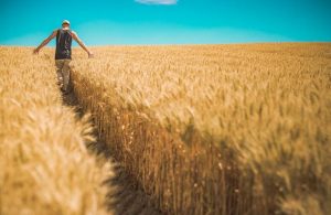 ΟΠΕΚΕΠΕ: Διευκρινίσεις για τις διορθώσεις ΟΣΔΕ – Τι ισχύει για οικολογικά σχήματα και αγροτεμάχια