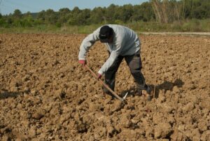 Copa – Cogeca: Πώς θα επανέλθει η γεωργία σε τροχιά ανάπτυξης – Οι προτεραιότητες