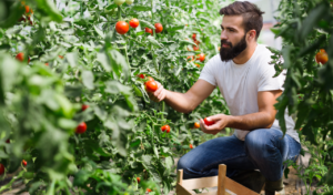 KAΠ: Τι αλλάζει στην ενίσχυση των Γεωργών νεαρής ηλικίας