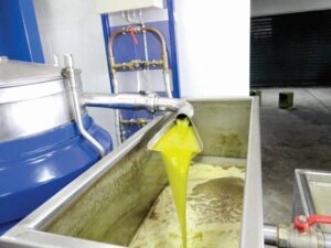 10,20 ευρώ/κιλό πουλήθηκε ελαιόλαδο στη Λακωνία