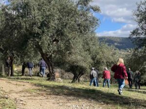 Eλαιοπαραγωγή στο δήμο Ζαχάρως: Ήταν στραβό το κλίμα ήρθε και το χαλάζι…