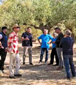 Zαχάρω: Aυτοψία στους ελαιώνες για τις ζημιές από την παρατεταμένη ανομβρία