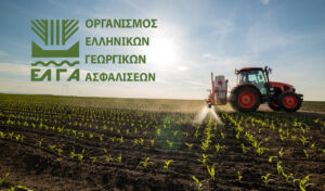 EΛΓΑ: Στους λογαριασμούς 12.915 παραγωγών 38 εκατ. ευρώ